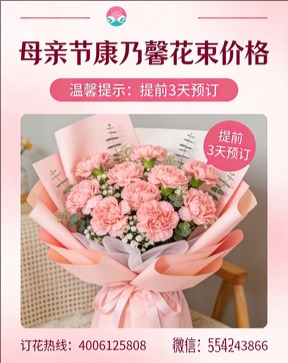 六安霍邱县花店母亲节康乃馨花束