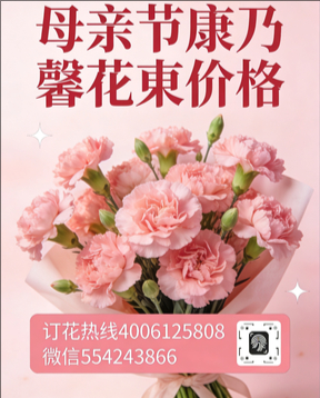 六安霍邱县花店母亲节康乃馨花束
